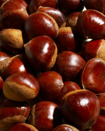 Jumbo California Chestnuts