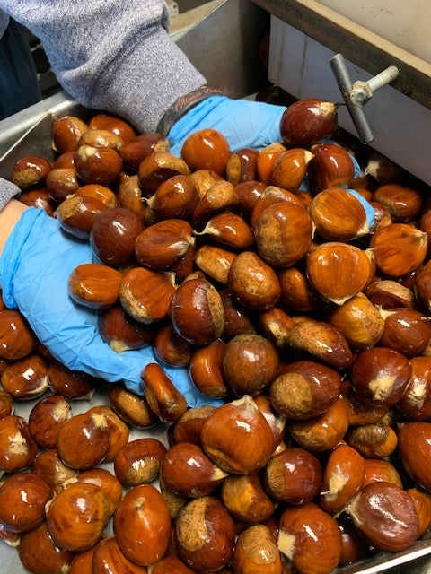 California Chestnuts - 1 Lb Gift Bag